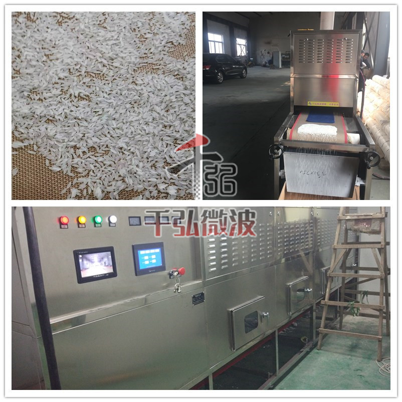 營養(yǎng)大米微波烘干殺菌設(shè)備_副本.jpg