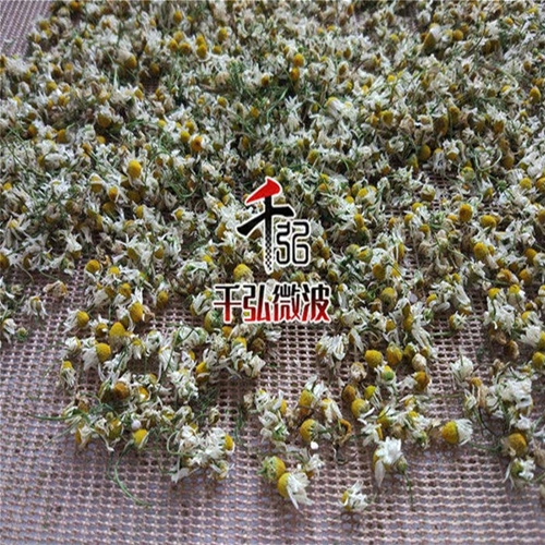 菊花微波烘干殺青設(shè)備