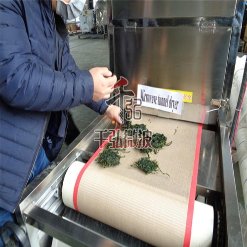 海帶微波殺青烘干設(shè)備