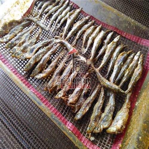 小魚微波烘干熟化設(shè)備