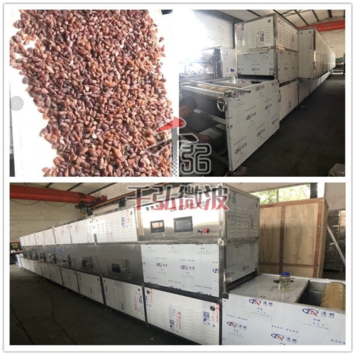 葡萄干微波烘干設(shè)備