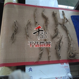 人參微波烘干設(shè)備