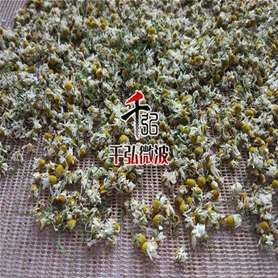 菊花微波烘干殺青設(shè)備