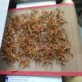黃花菜微波脫水干燥設(shè)備