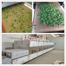 茶葉微波烘干殺青設(shè)備