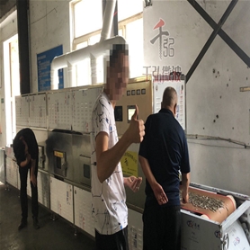 瓜子微波熟化設(shè)備