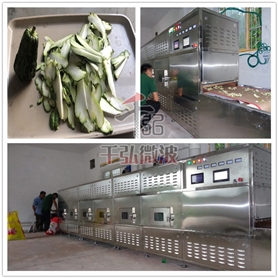 佛手微波烘干設(shè)備