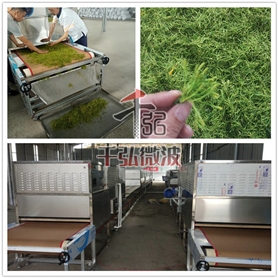 金銀花微波烘干殺青設(shè)備